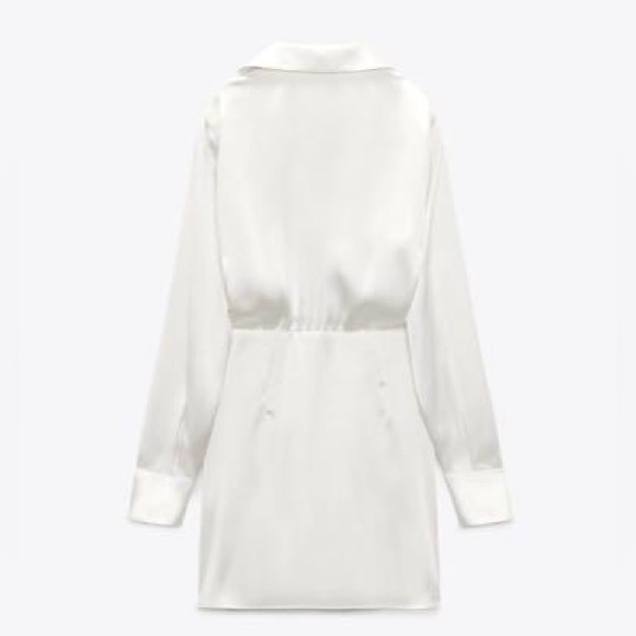 Zara Dress - Picture 2 of 6